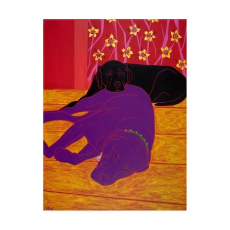 Angela Bond 'Let Sleeping Dogs Lie' Canvas Art,35x47